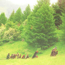 life-is-a-paradoxx avatar