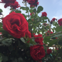 life-is-an-illusion-my-dear avatar