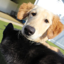 life-is-change-27 avatar