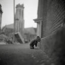 life-is-just-a-metaphor avatar