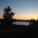 life-on-jupiter avatar