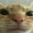 life-universe-and-everythingelse avatar