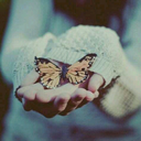 lifecanbelikeabutterfly-blog avatar