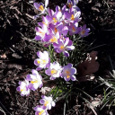 lifedeathtimespace avatar