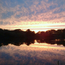 lifeincpeteblog avatar