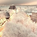 lifeinplastic21 avatar