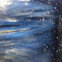 lifeinthe-woods avatar