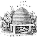 lifeintheapiary avatar