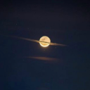 lifeisafreakshow avatar