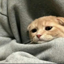 lifeisanexistencialcrisis avatar