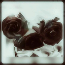 lifeislikethis00 avatar