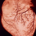 lifeisntafantasy avatar