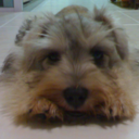 lifelittlejoy avatar