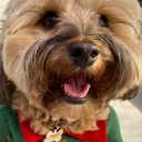 lifeofadevilchild avatar