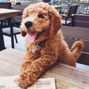 lifeofbeingcher avatar