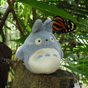 lifeoftotoro avatar