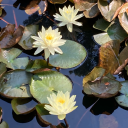 liferemainsunwritten avatar