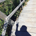 lifes-a-wave-blog avatar