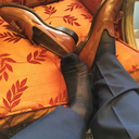 lifewithsocks avatar