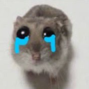 liftedconscious avatar