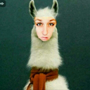 liftedllama avatar