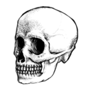 liftilraunshed avatar