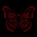 light-as-a-butterfly00 avatar