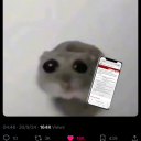 light-me-up-in-flames avatar