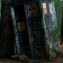 light-without-heat avatar