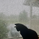 lightbluebaby avatar