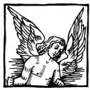 lighted-fliers avatar