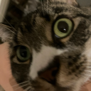 lightershadows avatar