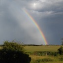 lightfromthelighthouse avatar