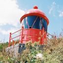 lighthouserekindled avatar