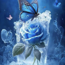 lighting-and-shadow avatar