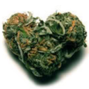 lightingtrees avatar