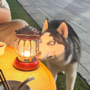 lightlightkanon avatar