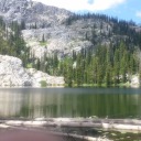 lightlyknitted avatar