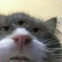 lightning-mcfear avatar