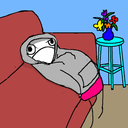 lightningbijli avatar