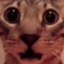 lightningferel avatar