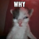 lights-keikaku avatar