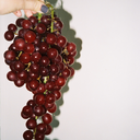 lightsandlights avatar