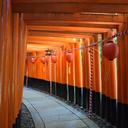 lightsinseoul avatar