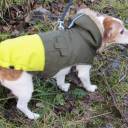 lightsmortalenemy avatar