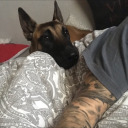 lightupmyworldyo avatar