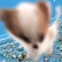 liittlecreatures1985 avatar