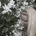 like-in-wonderland avatar