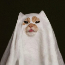 like-to-say-to-you avatar