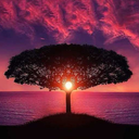 likeableoddsand avatar